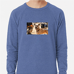 Human-Robot Bond Finch Sweatshirts