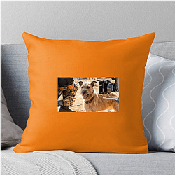 Human-Robot Bond Finch Pillows Cover