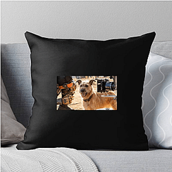 Human-Robot Bond Finch Pillows Cover