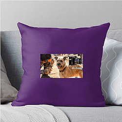 Human-Robot Bond Finch Pillows Cover