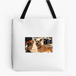 Human-Robot Bond Finch Bags