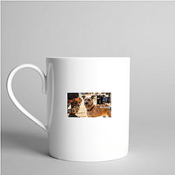 Human-Robot Bond Finch Mugs