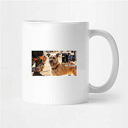 Human-Robot Bond Finch Mugs
