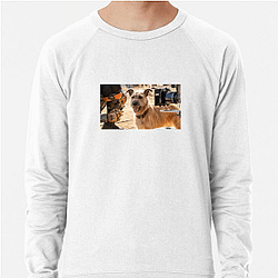 Human-Robot Bond Finch Sweatshirts