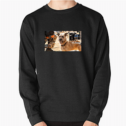 Human-Robot Bond Finch Sweatshirts