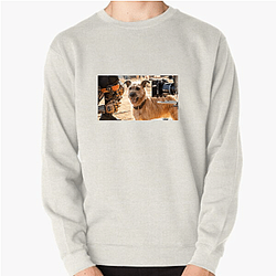 Human-Robot Bond Finch Sweatshirts