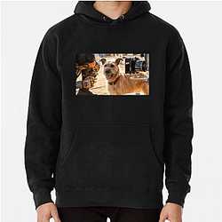 Human-Robot Bond Finch Hoodies