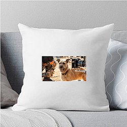 Human-Robot Bond Finch Pillows Cover