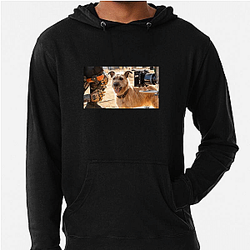 Human-Robot Bond Finch Hoodies