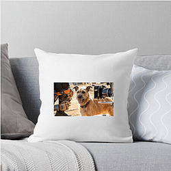 Human-Robot Bond Finch Pillows Cover