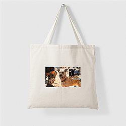 Human-Robot Bond Finch Bags
