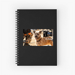 Human-Robot Bond Finch Notebook