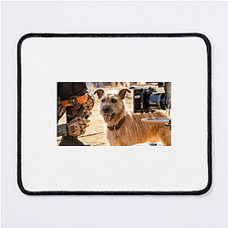 Human-Robot Bond Finch Mouse Pads