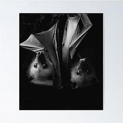 Fiona Apple Bag Print Poster