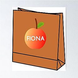 Fiona Apple Paperbag , Fan Art Poster