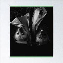 Fiona Apple Bag Print   Poster