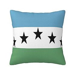 Farmhouse Home Decor for Couch Bed Sofa Throw Pillow Covers 18x18 Inch Double-Sided Cushion Cases Flag of Firestone Colorado