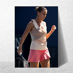 Flavia Pennetta The World Is My Legacy Flavia Pennetta Posters