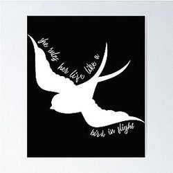 She Rules Her Life Like a Bird in Flight , Fleetwood Mac, Gypsy , Boho , Stevie Nicks , Rhiannon T-Shirt, Life is a Bird Poster