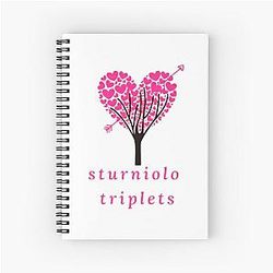 Chris sturniolo  (4) Spiral Notebook