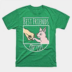 Sphynx Cat Best Friends For Life Classic T-shirt TP1002