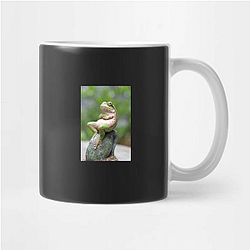 Frog Detective's second game is The Invisible Wizard Frog Detective Mugs