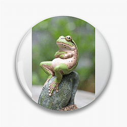 Frog Detective's second game is The Invisible Wizard Frog Detective Pins