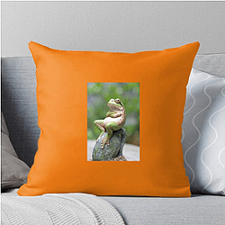 Frog Detective's second game is The Invisible Wizard Frog Detective Pillows Cover