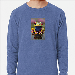 Frog Detective is a popular indie game Frog Detective Sweatshirts