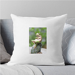 Frog Detective's second game is The Invisible Wizard Frog Detective Pillows Cover