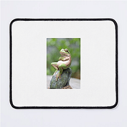 Frog Detective's second game is The Invisible Wizard Frog Detective Mouse Pads