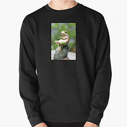 Frog Detective's second game is The Invisible Wizard Frog Detective Sweatshirts