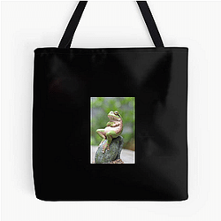 Frog Detective's second game is The Invisible Wizard Frog Detective Bags