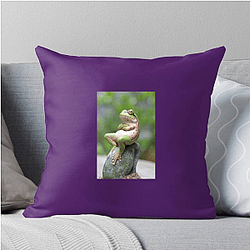 Frog Detective's second game is The Invisible Wizard Frog Detective Pillows Cover