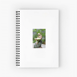 Frog Detective's second game is The Invisible Wizard Frog Detective Notebook