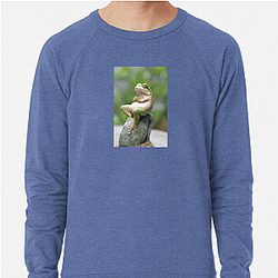 Frog Detective's second game is The Invisible Wizard Frog Detective Sweatshirts