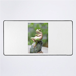 Frog Detective's second game is The Invisible Wizard Frog Detective Mouse Pads