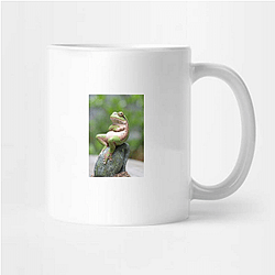 Frog Detective's second game is The Invisible Wizard Frog Detective Mugs