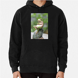 Frog Detective's second game is The Invisible Wizard Frog Detective Hoodies