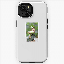 Frog Detective's second game is The Invisible Wizard Frog Detective iPhone Cases