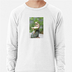 Frog Detective's second game is The Invisible Wizard Frog Detective Sweatshirts