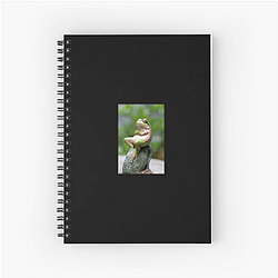 Frog Detective's second game is The Invisible Wizard Frog Detective Notebook