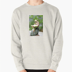 Frog Detective's second game is The Invisible Wizard Frog Detective Sweatshirts