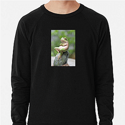 Frog Detective's second game is The Invisible Wizard Frog Detective Sweatshirts