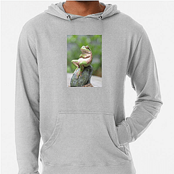 Frog Detective's second game is The Invisible Wizard Frog Detective Hoodies