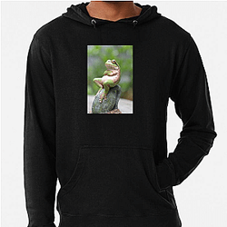 Frog Detective's second game is The Invisible Wizard Frog Detective Hoodies