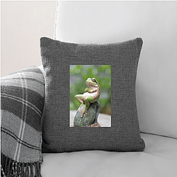 Frog Detective's second game is The Invisible Wizard Frog Detective Pillows Cover