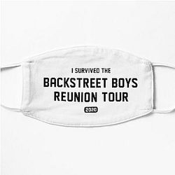 Game Grumps Face Masks - I Survived The Backstreet Boys Reunion Tour - Game Grumps Flat Mask RB2507