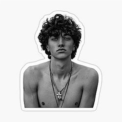 Gavin Casalegno Sticker