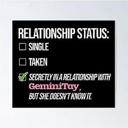 Relationship with GeminiTay Poster